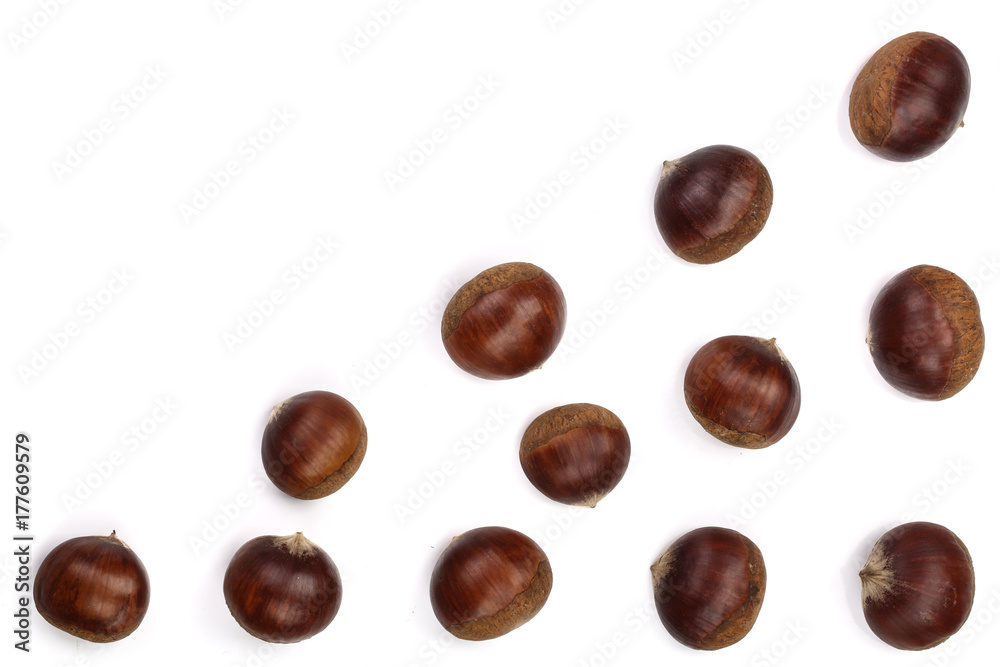 chestnut isolated on white background with copy space for your text. Top view chestnut isolated on white background with copy space for your text. Top view