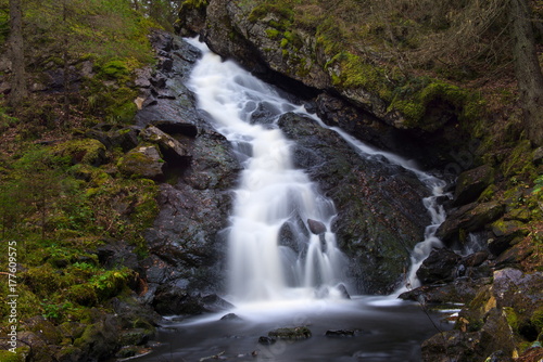 Forest waterfall