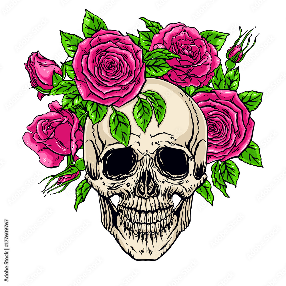 human skull with a roses wreath human skull with a roses wreath
