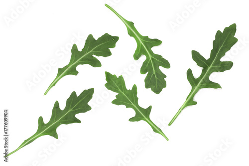 Green fresh rucola or arugula leaf isolated on white background. Top view