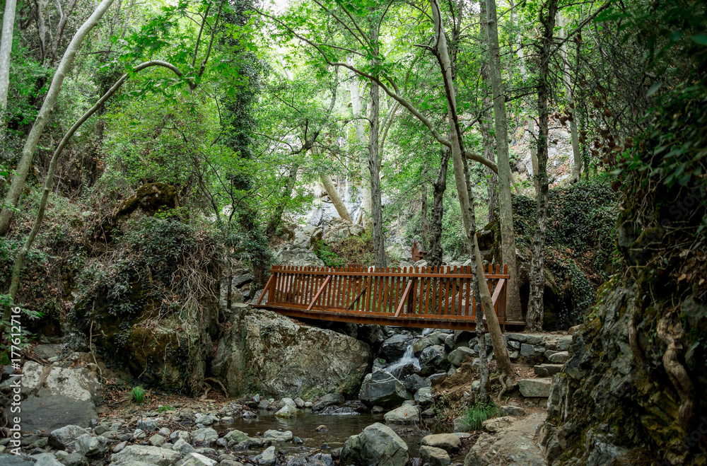 A small wooden bridge over a stream on a way to Caledonia waterfall near Platres, Cyprus - obrazy, fototapety, plakaty 