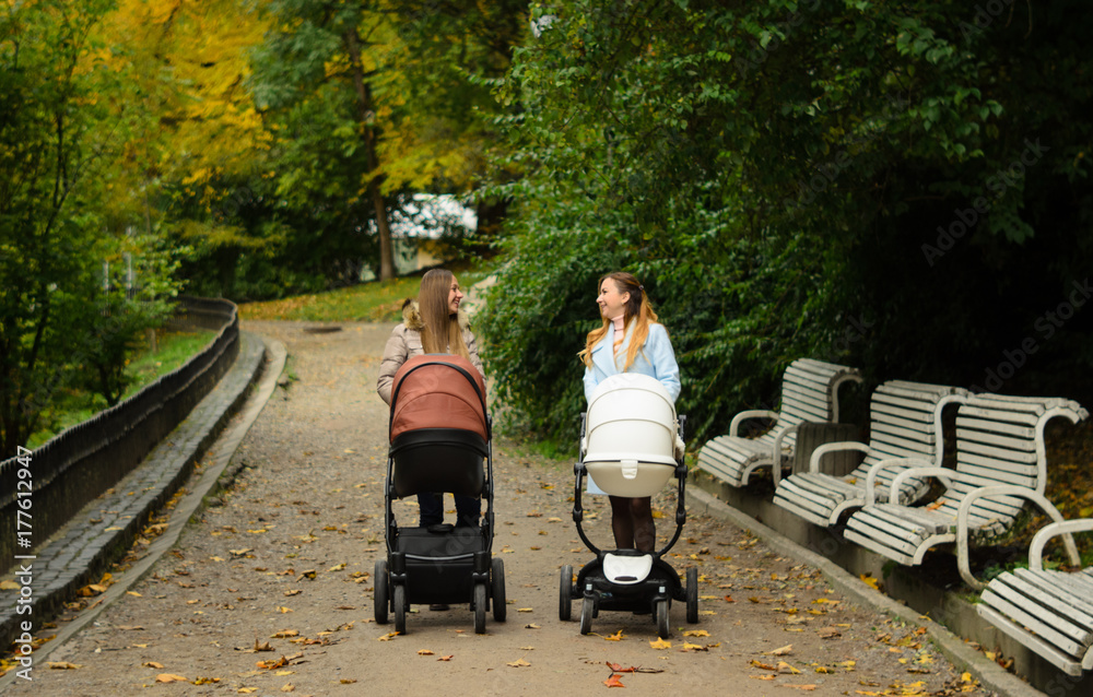 Two happy mothers with their baby strollers walking together in park. Motherhood