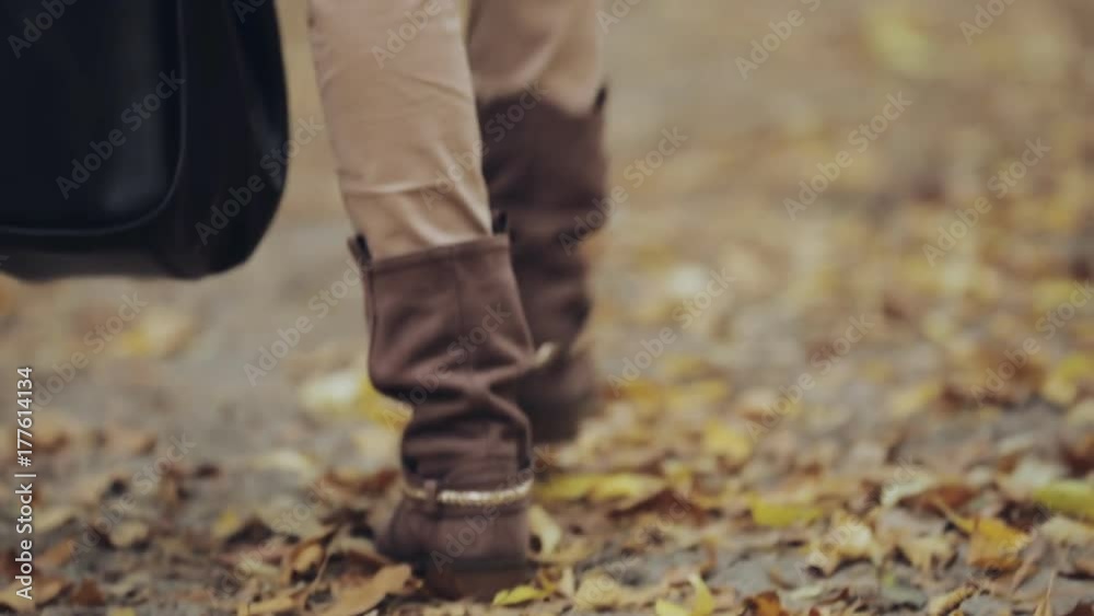 Woman legs going on autumn foliage in november Woman legs going on autumn foliage in november