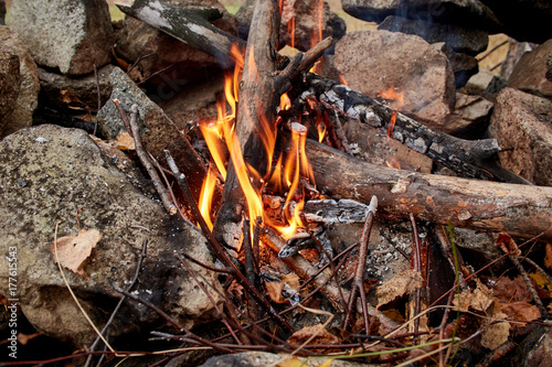 Campfire is lit in the autumn forest. Dry twigs burning on a background of yellow Golden forests, autumn mood