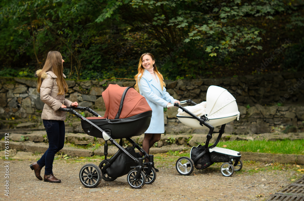 Two happy mothers with their baby strollers walking together in park. Motherhood
