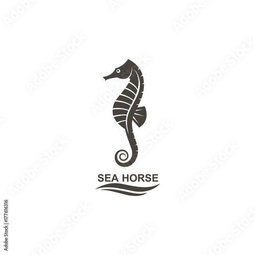 icon of seahorse on isolated white background