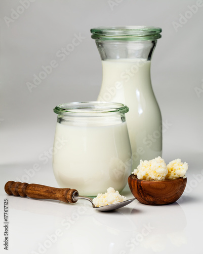 Milk kefir grains. milk kefir, or búlgaros, is a fermented milk drink that originated in the Caucasus Mountains made with kefir "grains", a yeast/bacterial fermentation starter.
