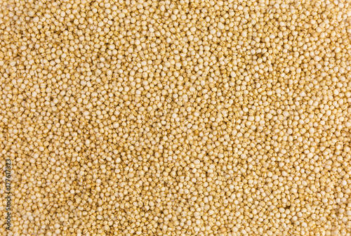 Bilde på lerret background of white puffed quinoa seeds - chenopodium quinoa
