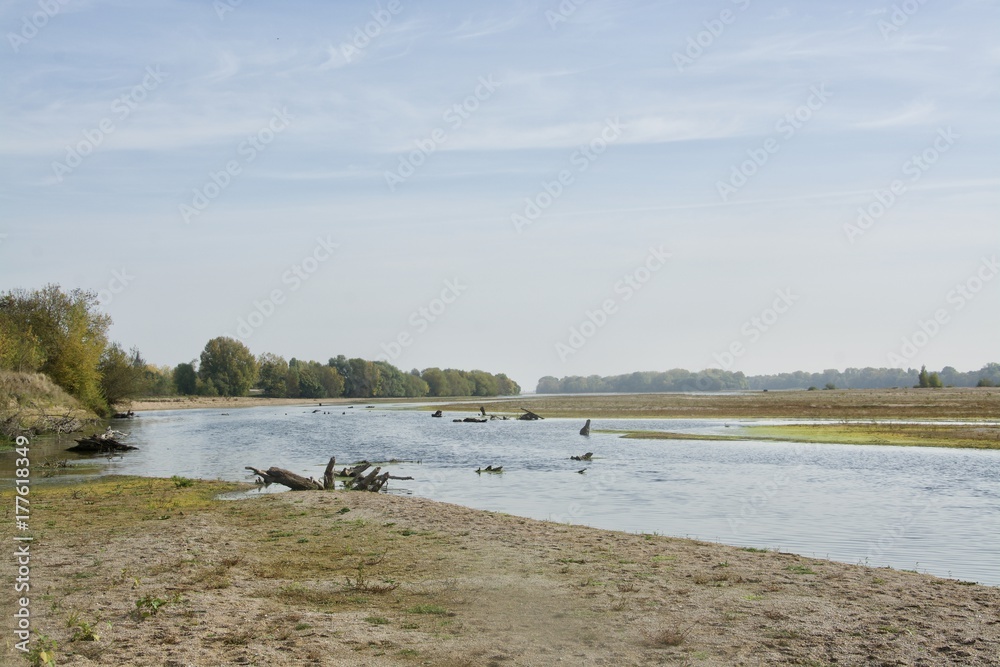 le lit de la loire en automne