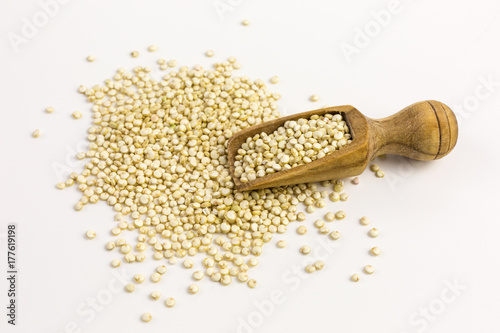 white quinoa seeds on wooden scoop - chenopodium quinoa