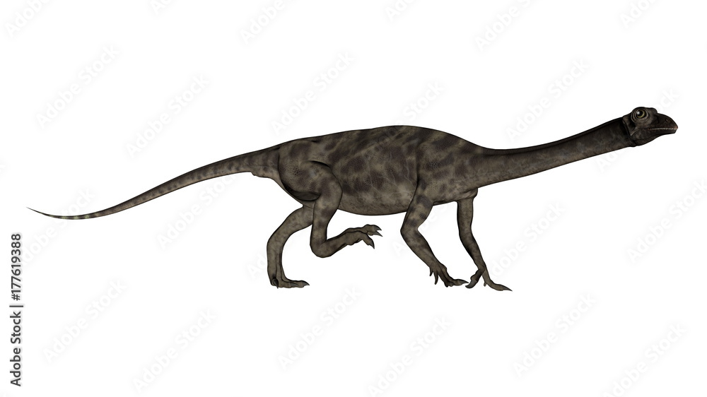 Anchisaurus dinosaur -3D render Anchisaurus dinosaur -3D render