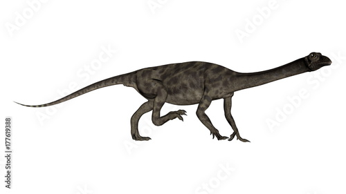 Anchisaurus dinosaur -3D render © Elenarts