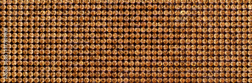 Canvas of gold rhinestones. Background Long.