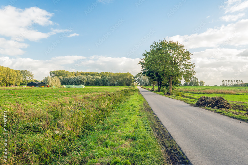 Dutch rural landscape in the fall season