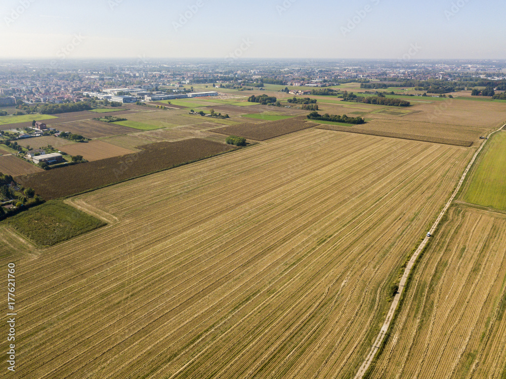 Natura e paesaggio: vista aerea di un campo, coltivazione, campo arato, campagna, agricoltura. Coltivazione di mais