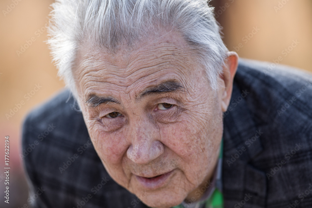 portrait of a pensioner portrait of a pensioner