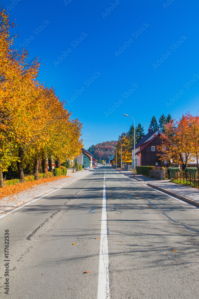 Road in the center of Delnice, small town in Gorski kotar, Croatia
Road in the center of Delnice, small town in Gorski kotar, Croatia