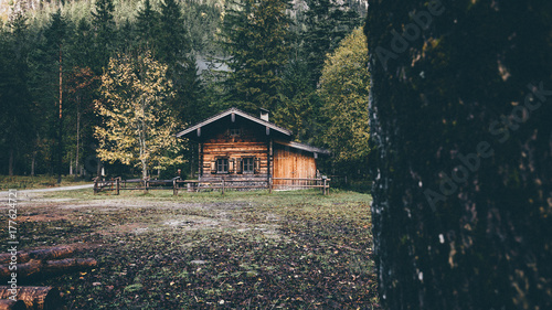 Hütte im Wald