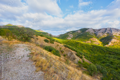 Mountain forest landscape under evening sky