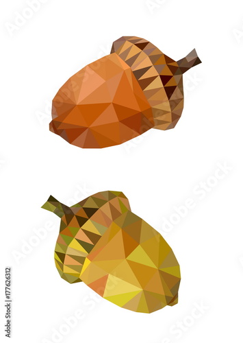 polygon picture two colored acorn