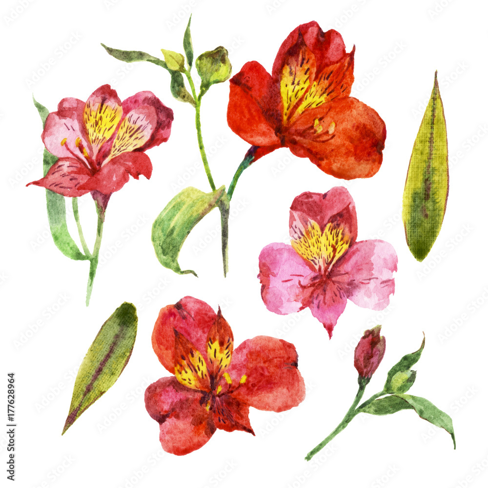 Fototapeta premium Set of watercolors with tropical flowers, orchids