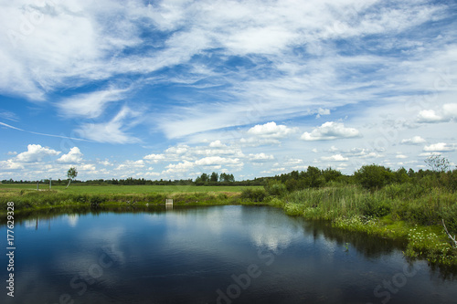 Small pond, meadow and sky