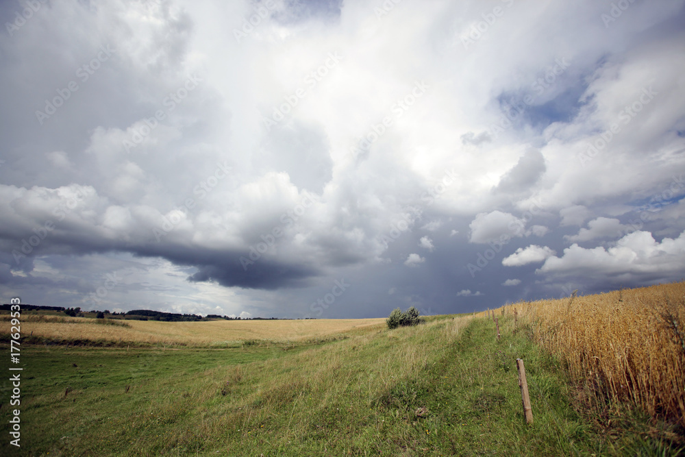 polish summer landscape with fields and clouds