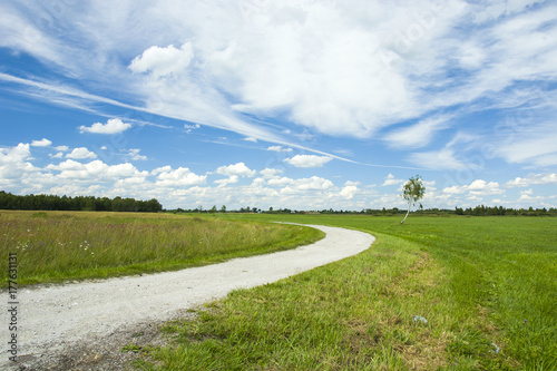 Rural winding road and meadow