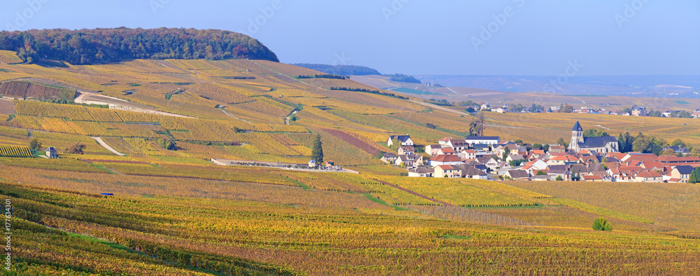 Naklejka premium Champagne, village de Oger en automne