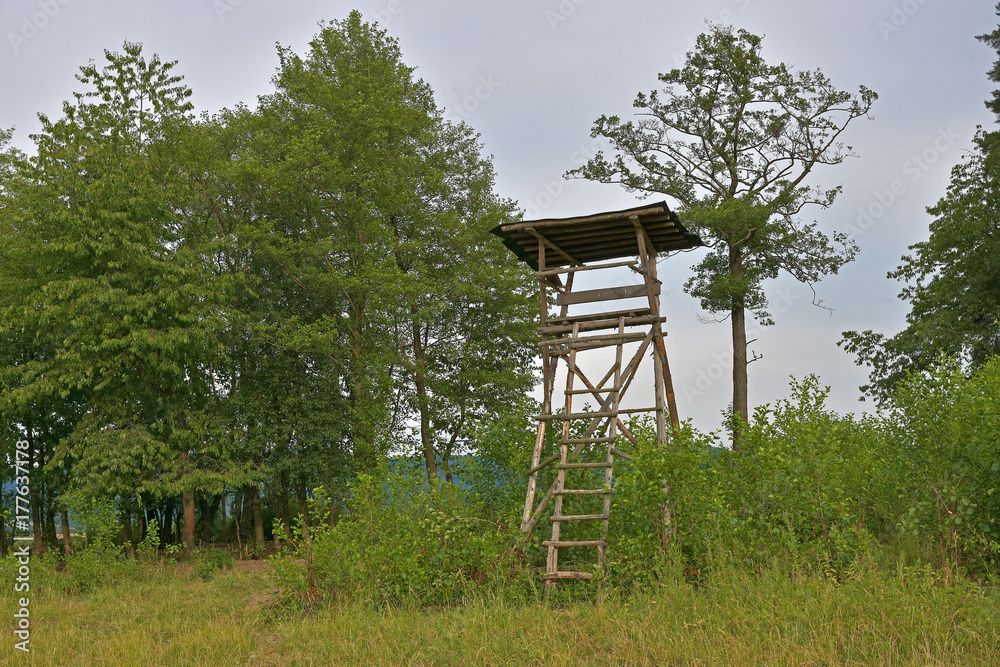 shelter with a ladder for hunting