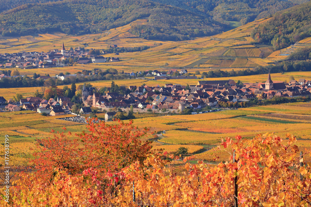 Ammerschwihr et Kientzheim, villages d'Alsace en automne