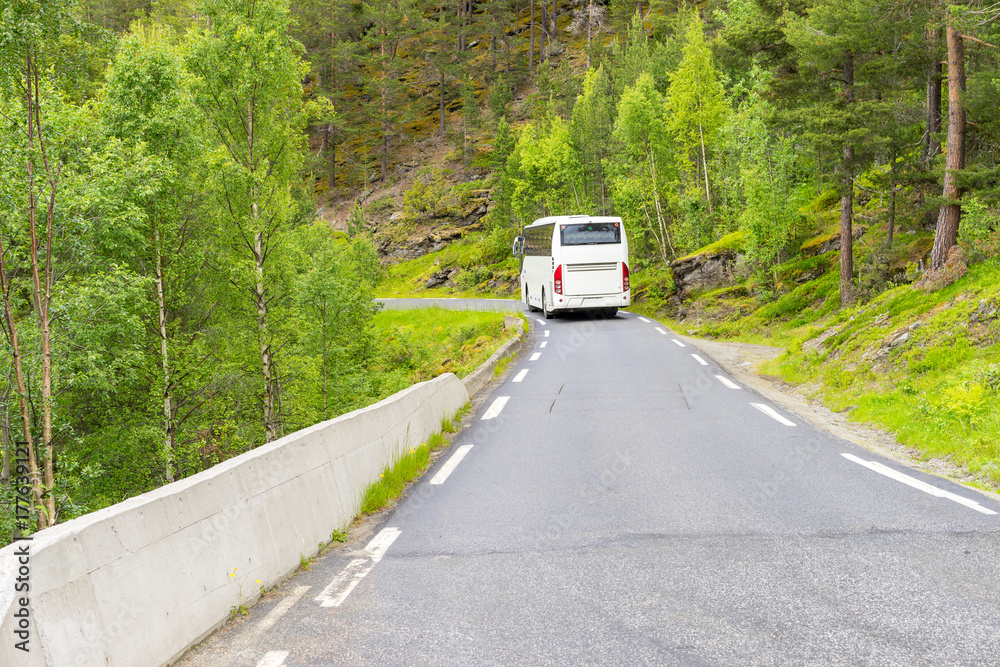 Weisser Bus fährt auf einer engen Landstrasse durch den Wald in Norwegen Weisser Bus fährt auf einer engen Landstrasse durch den Wald in Norwegen