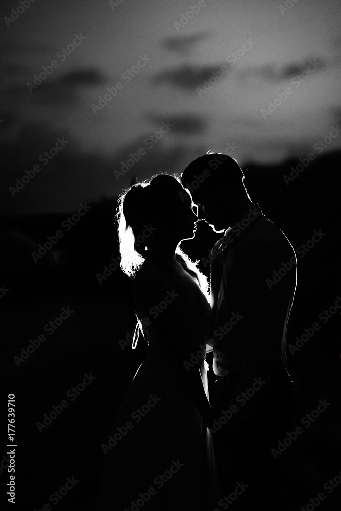 silhouettes of the young couple of the bride and groom