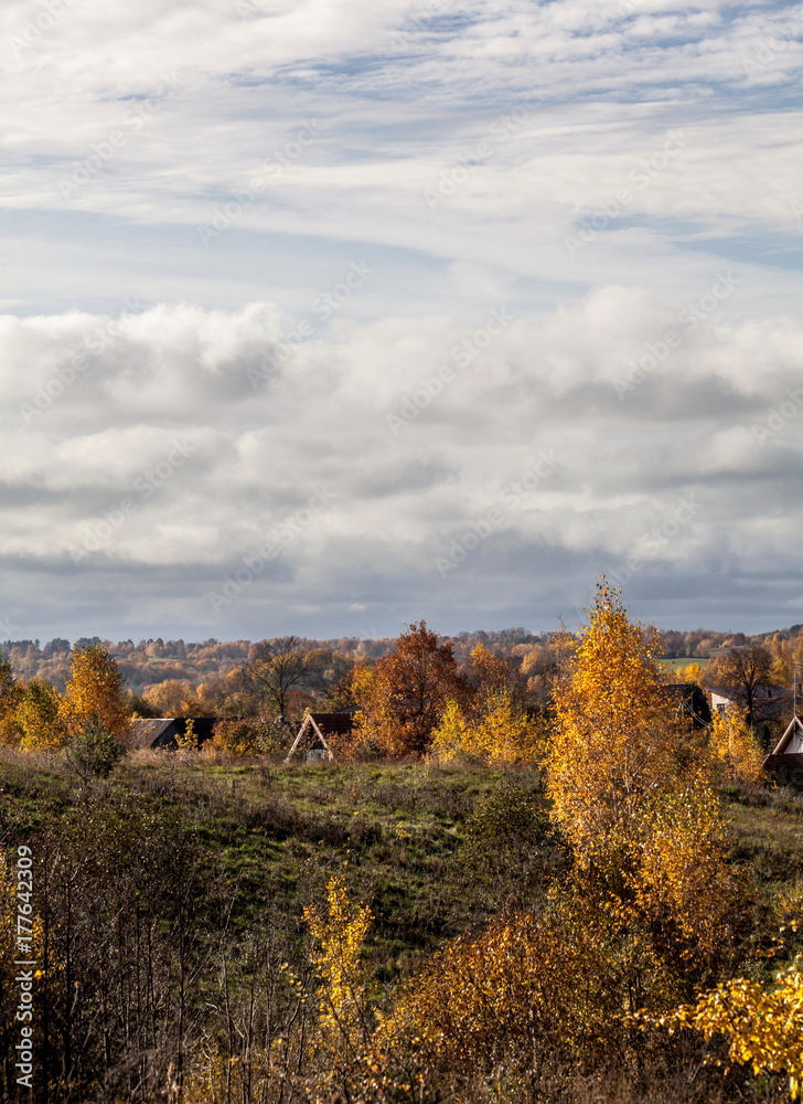 Fototapeta premium Autumn in the countryside