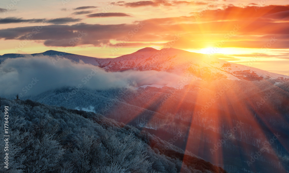 Obraz premium Panoramic view of winter mountains at sunrise. Landscape with foggy hills and trees covered with rime. Dramatic cloudy over sky. 