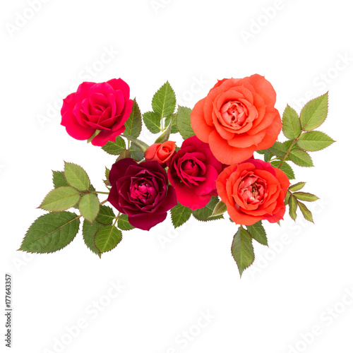 colorful rose flower bouquet with green leaves isolated on white background cutout © Natika