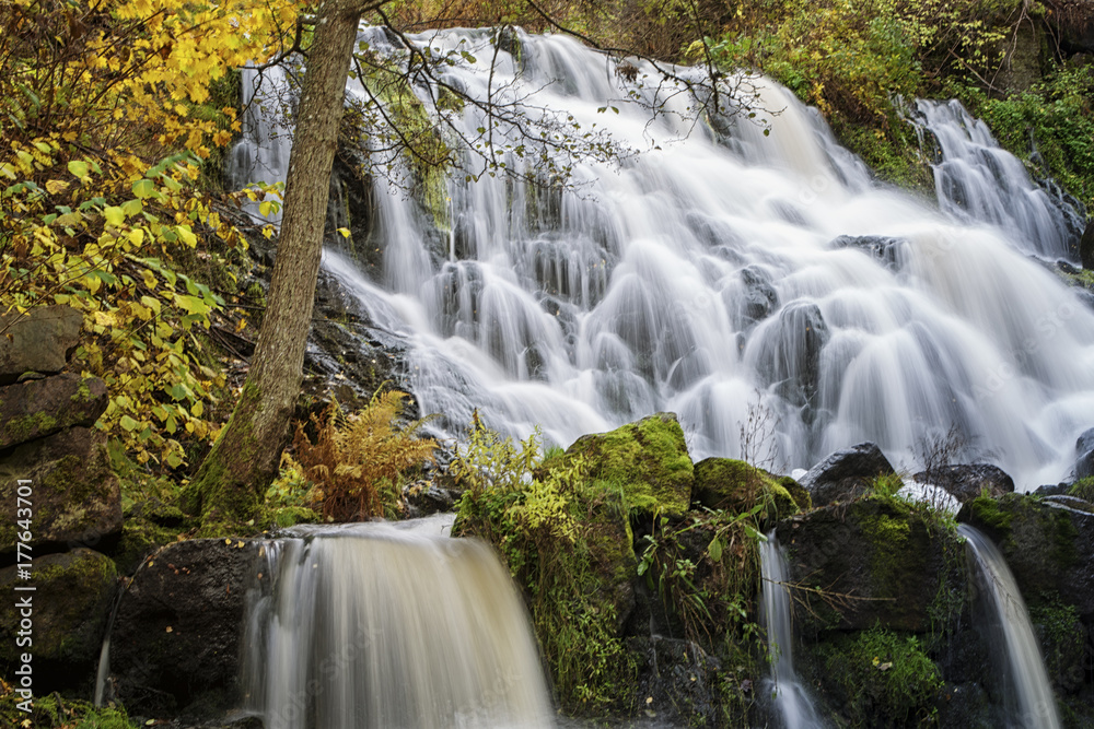 Obraz premium Młyn Rottle 4