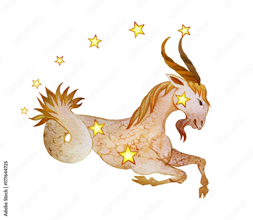 Astrological sign of the zodiac Capricorn, isolated on a white background