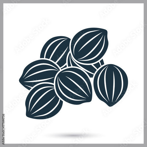 Coriander seeds simple icon