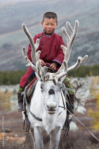 Little tsaatan boy riding on his family's reindeer. photo