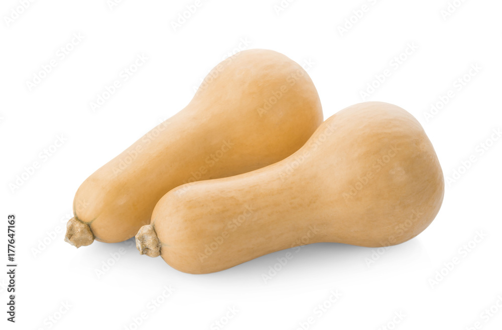 Butternut squash isolated on white background Butternut squash isolated on white background