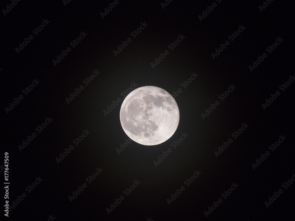 Moon in The Night Lonely in The Universe Moon in The Night Lonely in The Universe