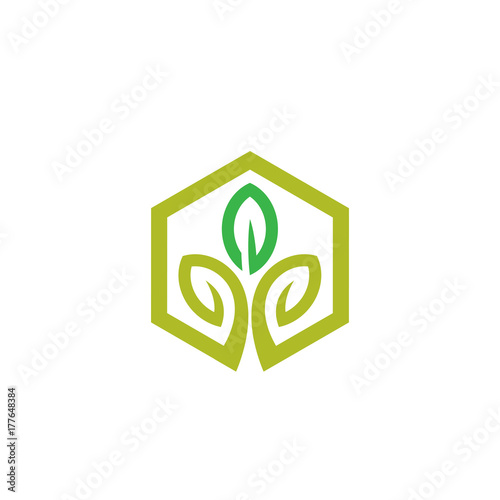 green leaf icons logo 