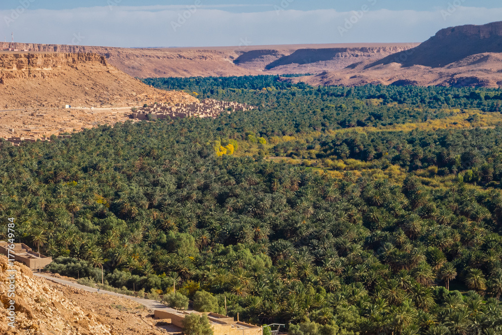 Fototapeta premium Morocco Erfoud Tafilalet oasis