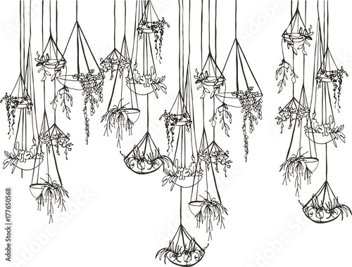 
modern suspended  pots with plants
