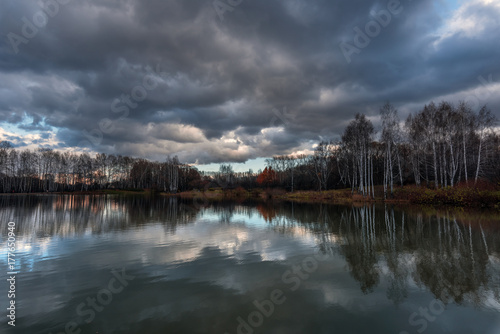 Naked autumn trees on the shore of the lake