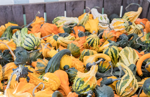 Variety of gourds for sale at market