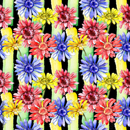 Wildflower gerbera flower pattern in a watercolor style. Full name of the plant: gerbera. Aquarelle wild flower for background, texture, wrapper pattern, frame or border.