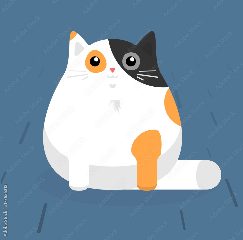 Obraz premium Cute sitting cat. White cat with stains. Flat vector illustration