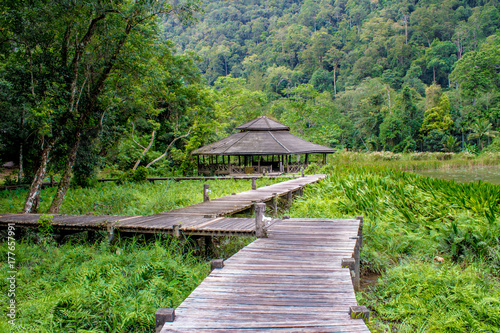 Gazebo or Pavilion at Thale Ban national park, Satun Province, Thailand photo